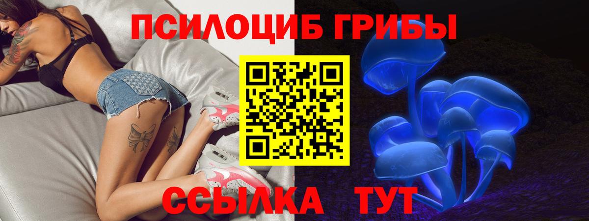 Псилоцибиновые грибы Cubensis  Вход с VPN  Канаш 